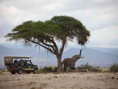 Discerning Kenya Explorer Safari